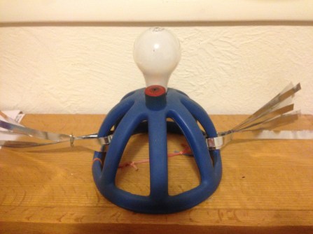 light bulb hat citizen scientist