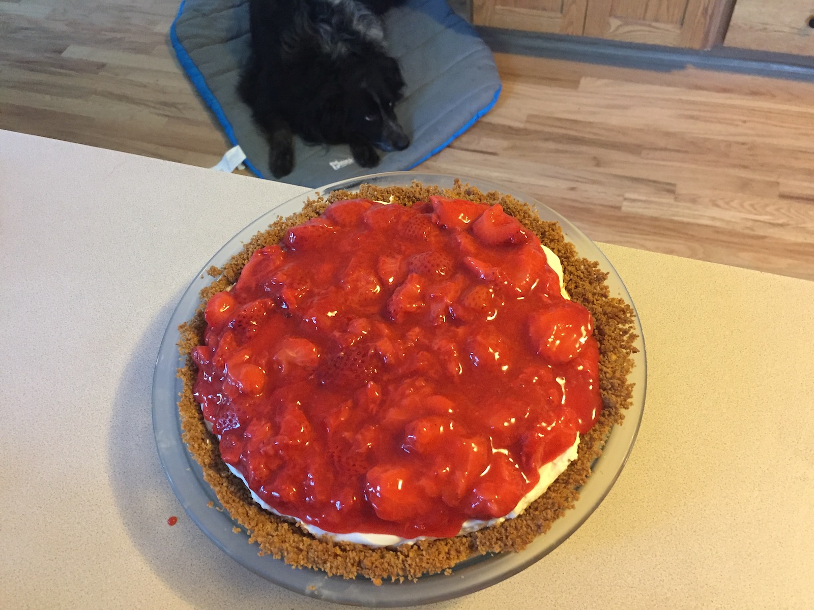 strawberry cream pie with dog lying nearby