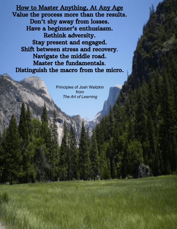 How to Master Anything poster 4